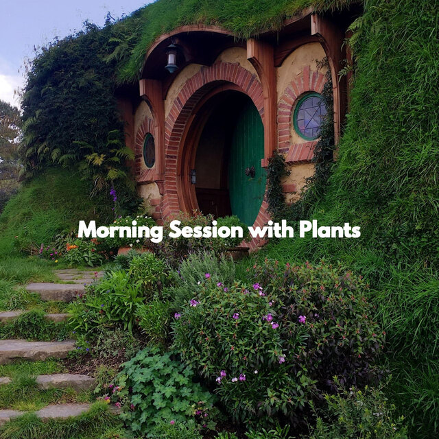 Morning Session with Plants