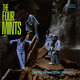 Cover art for album Gently Down Your Stream by Four Mints