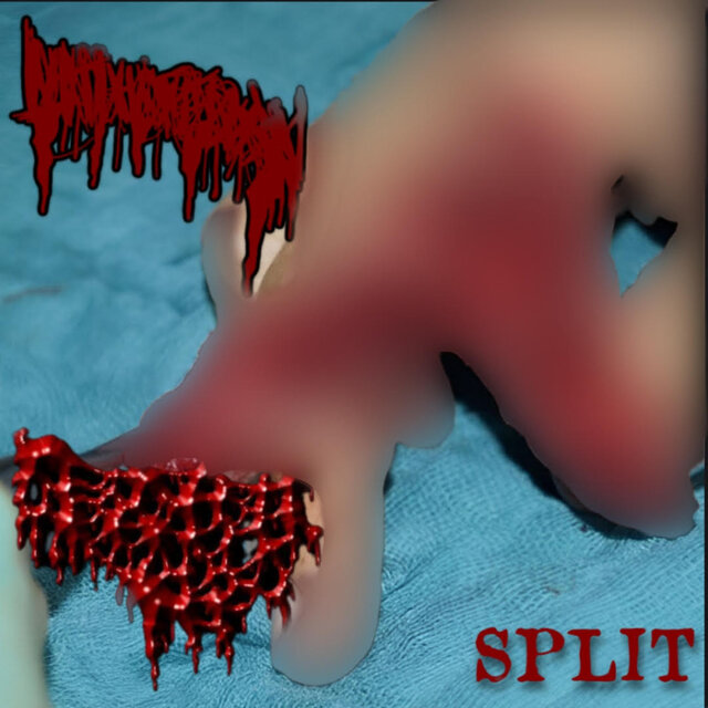 Split