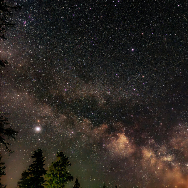 Boreal