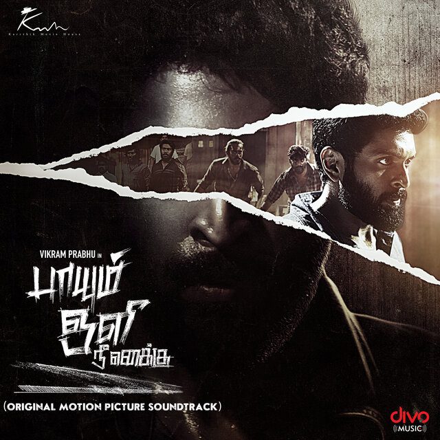 Paayum Oli Nee Yenakku (Original Motion Picture Soundtrack)