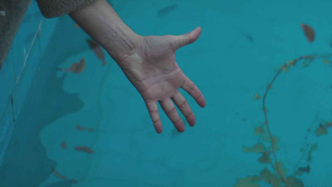Ci siamo capiti male (Official Video)