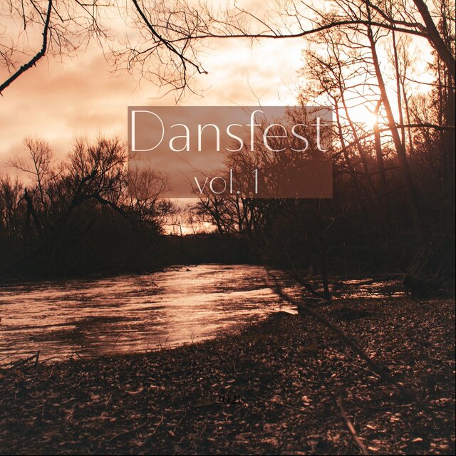 Dansfest, vol. 1