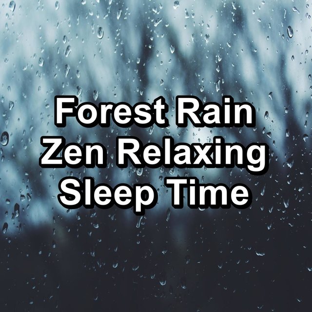 Forest Rain Zen Relaxing Sleep Time