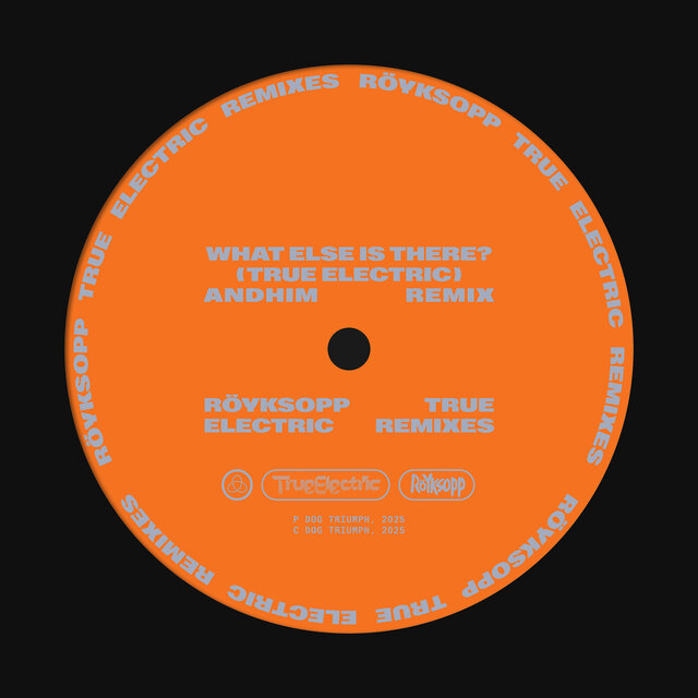 What Else Is There? (andhim Remix)