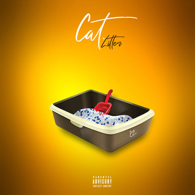 Cat Litter
