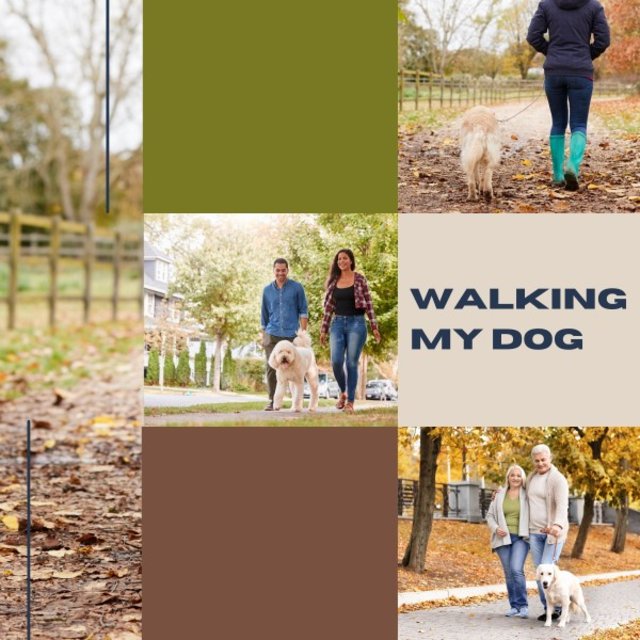 Walking My Dog