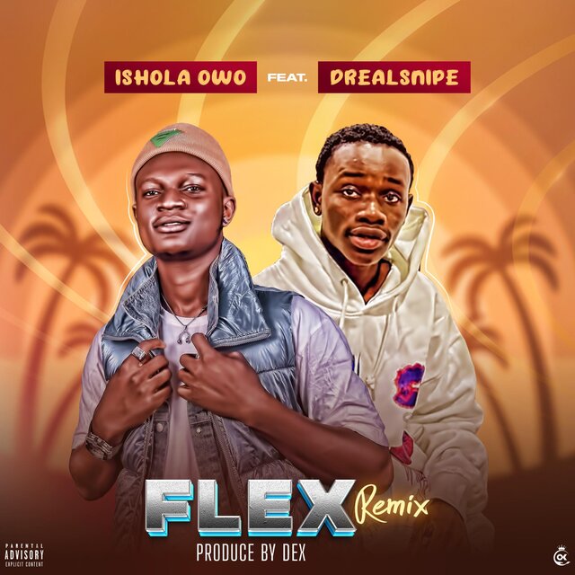 Flex (feat. Drealsnipe) [Remix]