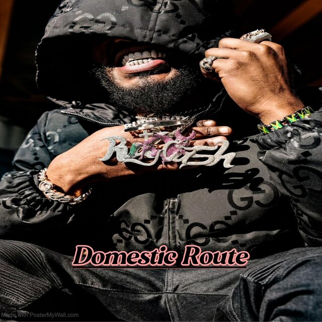 Domestic Route