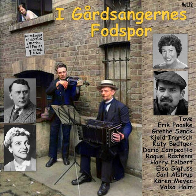 I Gårdsangernes Fodspor Vol. 12