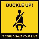 Buckle Up! (feat. pulsi)
