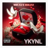 YKYNL