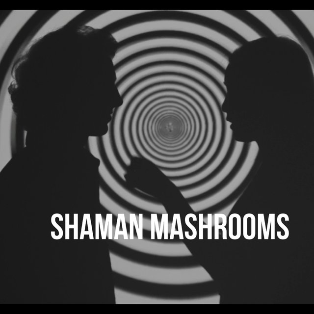 SHAMAN MASHROOMS