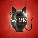 Gatita