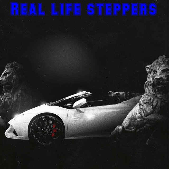 Real Life Steppers