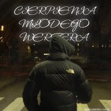 Cierpienia Młodego Wertera