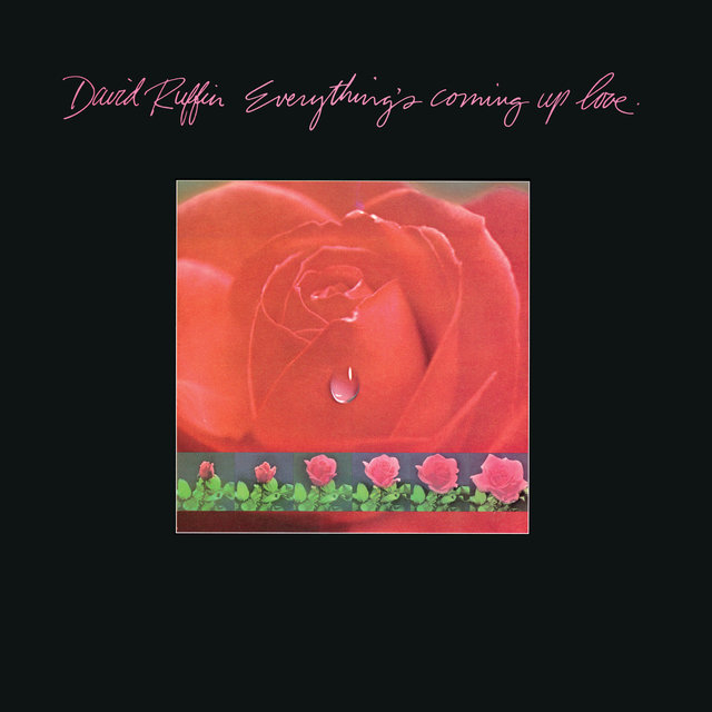 Everything’s Coming Up Love