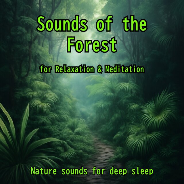 Sounds of the Forest for Relaxation & Meditation