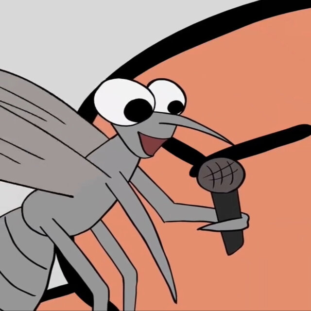 CHOIR MOSQUITO