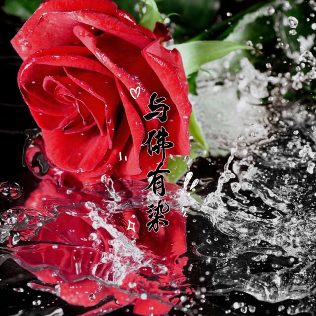 与佛有染