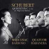 String Quintet in C Major, Op. 163, D. 956 (Arr. for 5 saxophones by Maja Lisac Barroso): I. Allegro ma non troppo