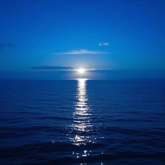 戒断海