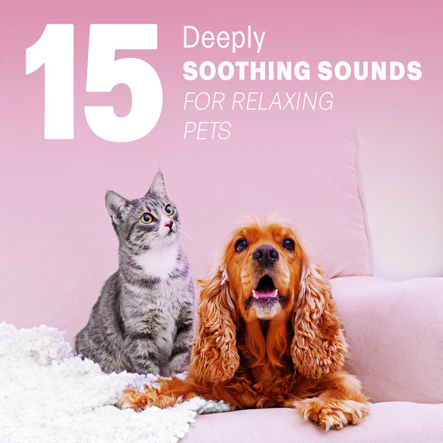 15 Deeply Soothing Sounds for Relaxing Pets (White Noise, Sleep and Nature Music for Animals)