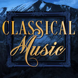 Concerto for 2 Violins in D Minor, BWV 1043: I. Vivace