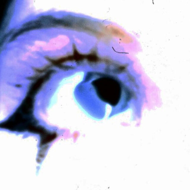 fool (sped up)