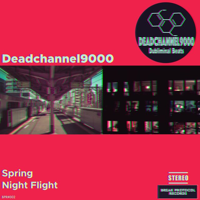 Spring / Night Flight