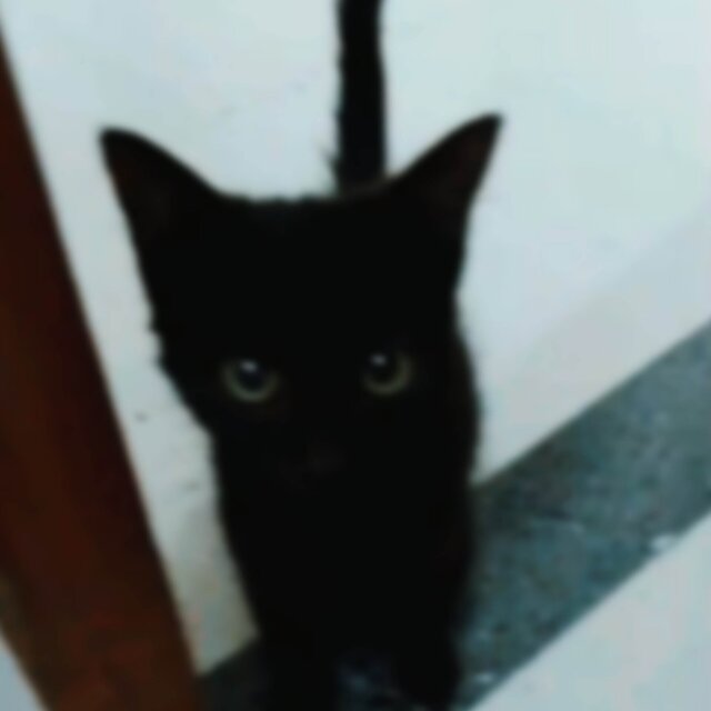 Aún conservo nuestras fotos