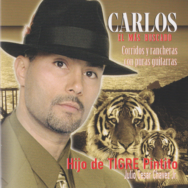 Hijo De Tigre Pintito