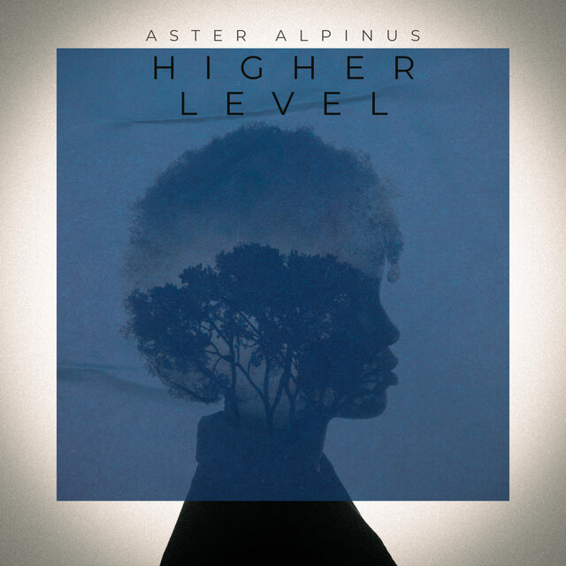 Higher Level