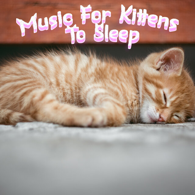 Calming Music For Cats Relaxation Deep Sleep Stress Relief