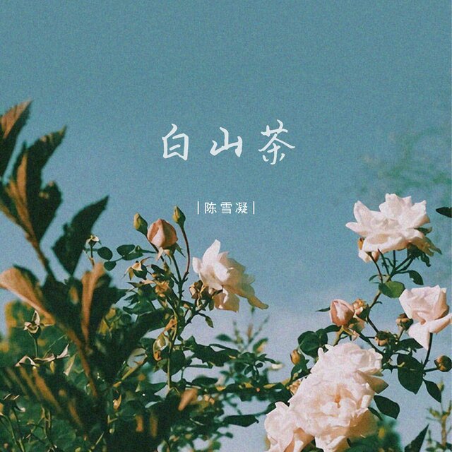 白山茶 (加长版)