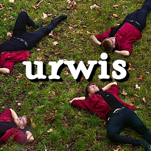Urwis