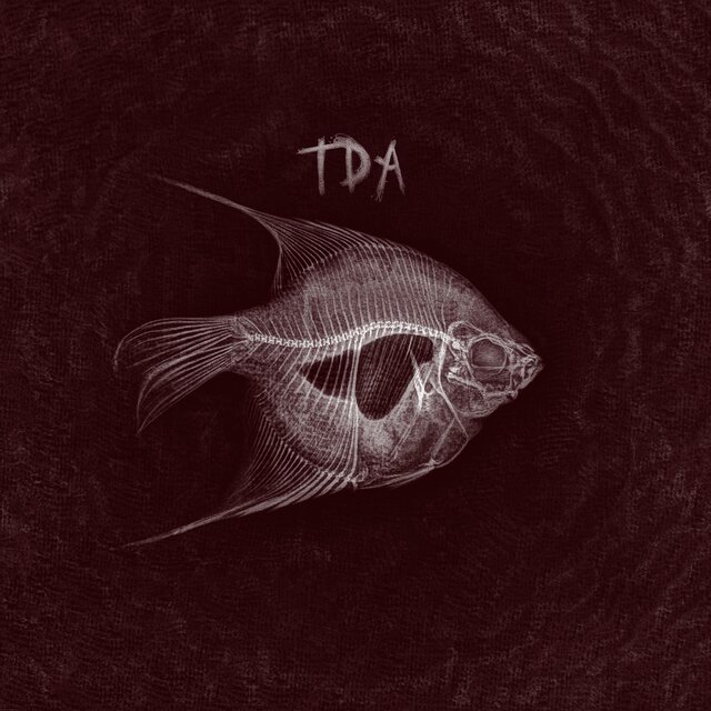 TdA