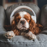 Puppy Peace Melodies