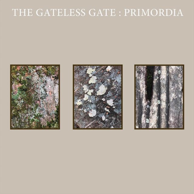 Primordia