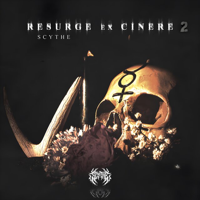 Resurge ex Cinere 2