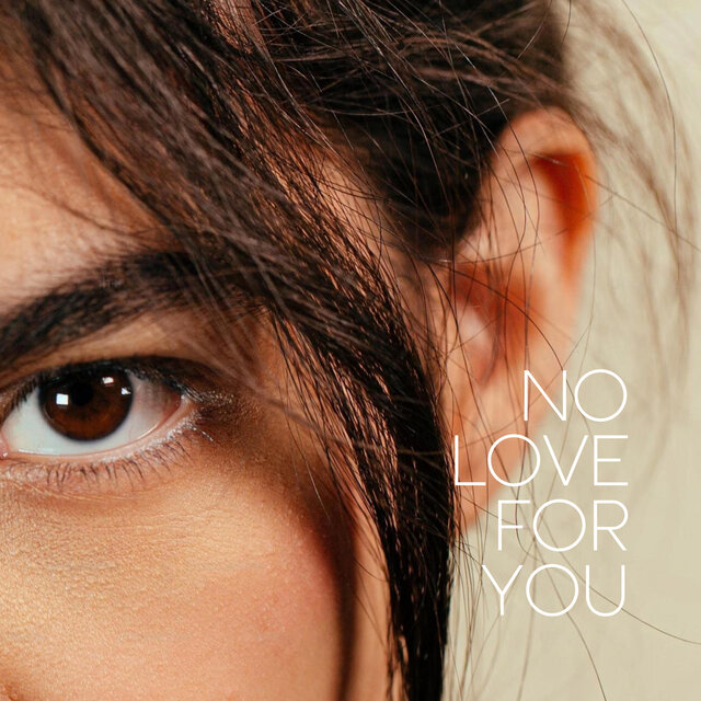 NO LOVE FOR YOU