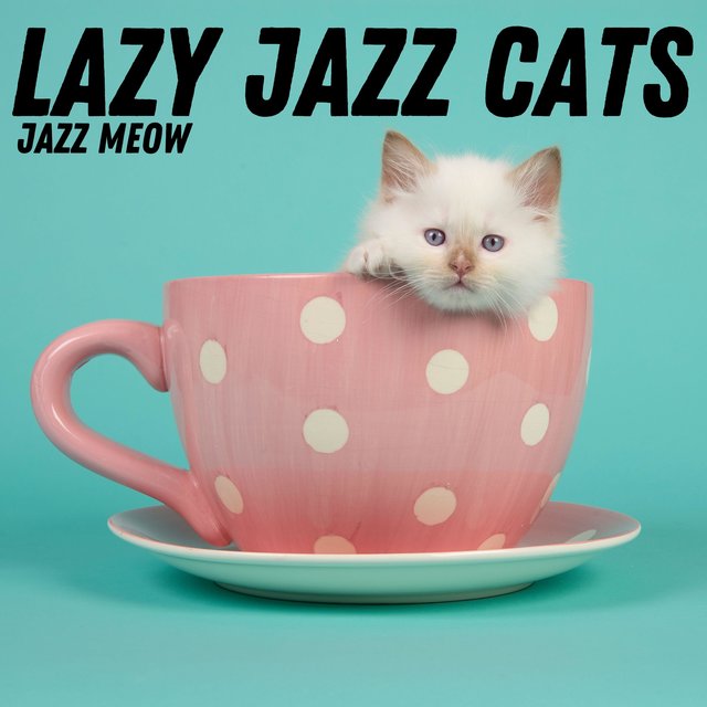Jazz Meow