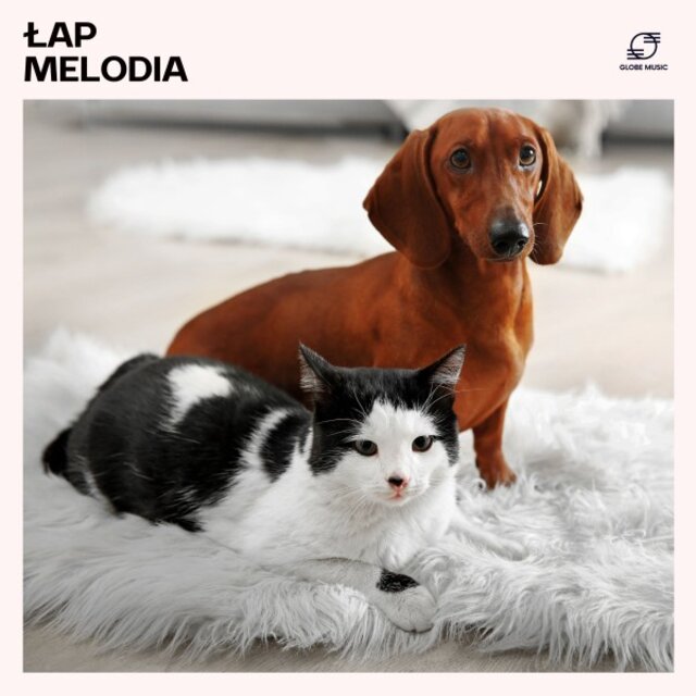 Łapmelodia