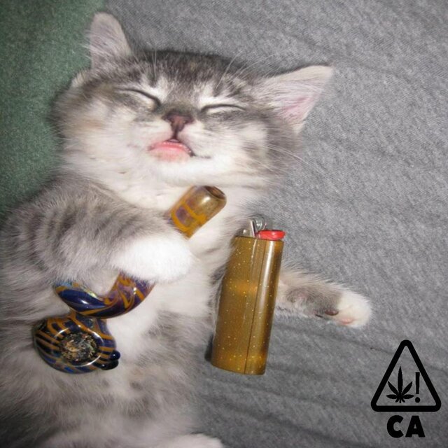 ogkush