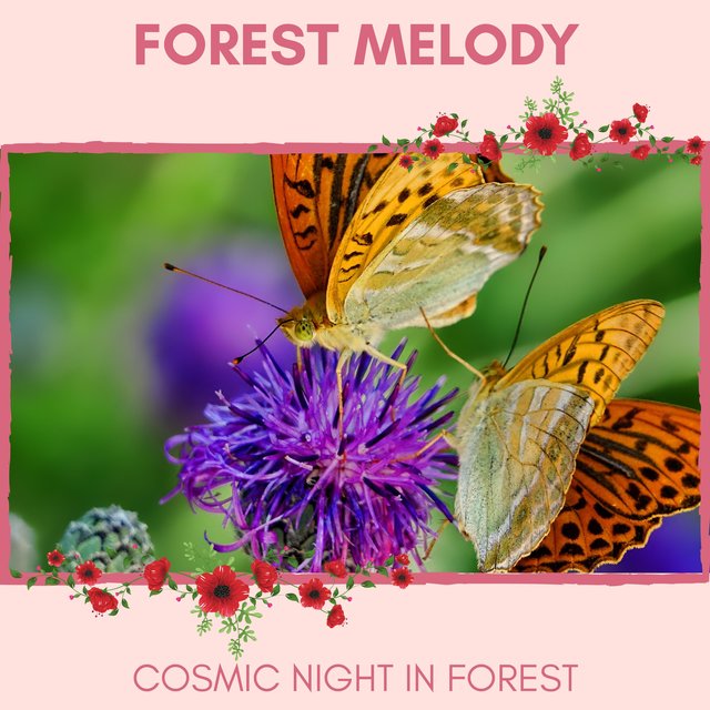 Forest Melody - Cosmic Night in Forest