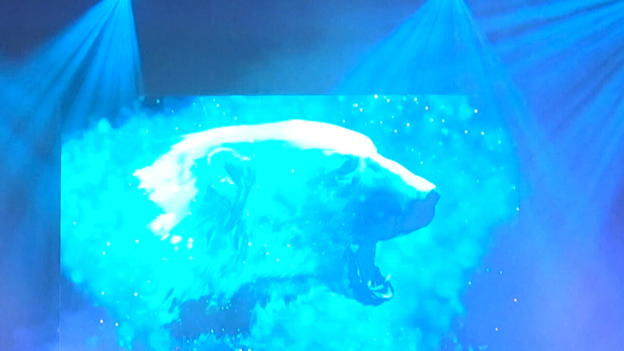 Nanook