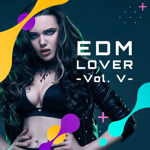 EDM Lover -Vol. V-
