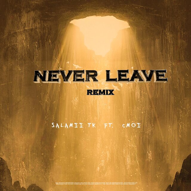 Never Leave (feat. CMOI)