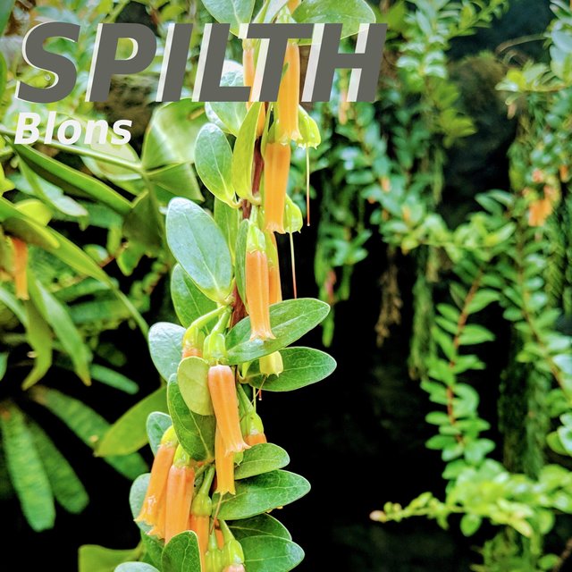 Spilth