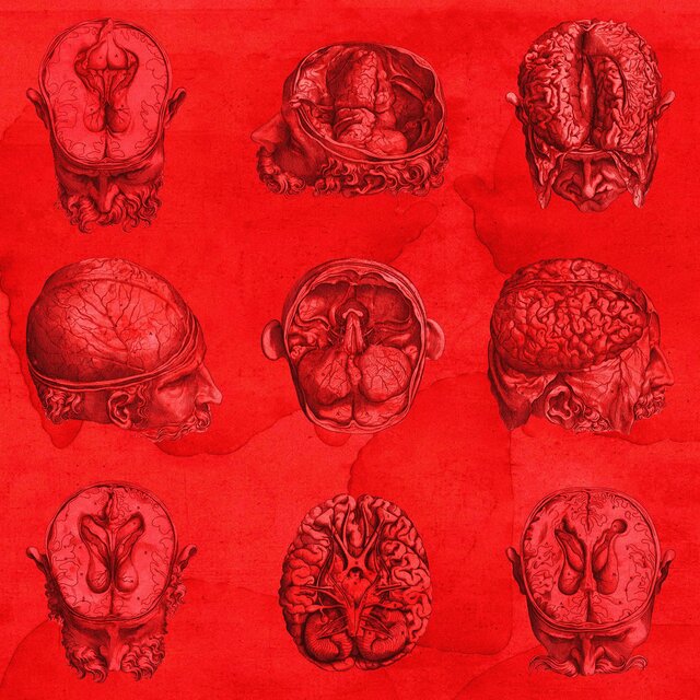 BRAINDAMAGE
